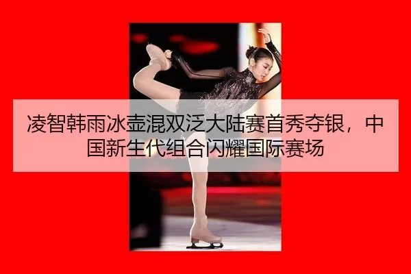 ling-zhi-han-yu-bing-hu-hun-shuang-fan-da-lu-sai-shou-xiu-duo-yin-zhong-guo-xin-sheng-dai-zu-he-shan-yao-guo-ji-sai-2-939.jpg